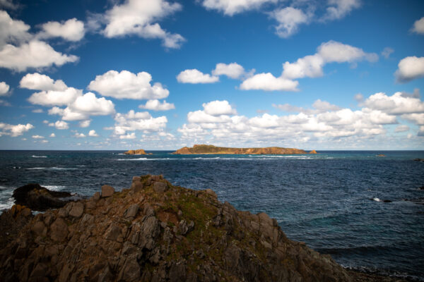 Rebun Islands Untamed Coastal Splendor, Japan