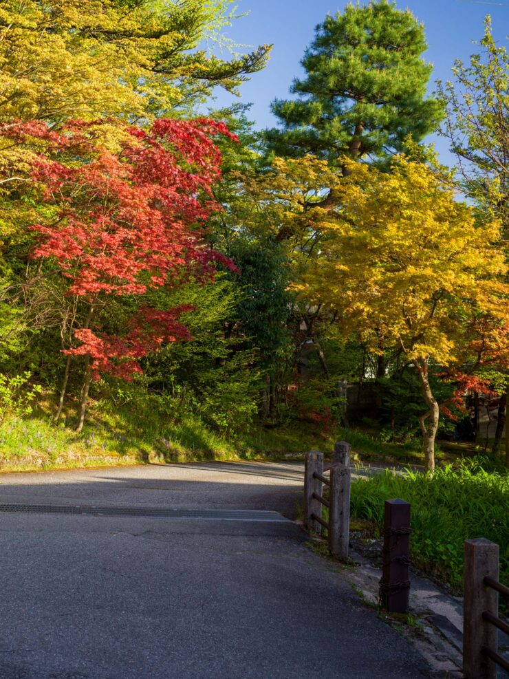 Scenic autumn hiking trail in Higashiyama forest.