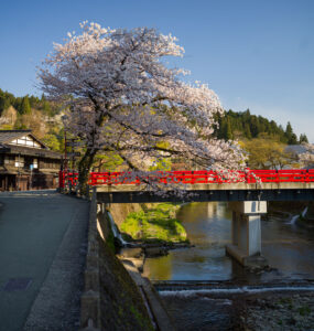 Cherry blossom bridge, Miyagawa River, Japan