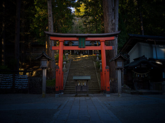 Tranquil Japanese forest shrine entrance gate