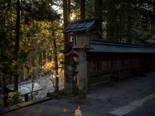 Tranquil Hie Shrine in Lush Forest Setting