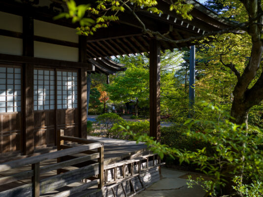 Peaceful Kyoto temple trail amidst lush greenery