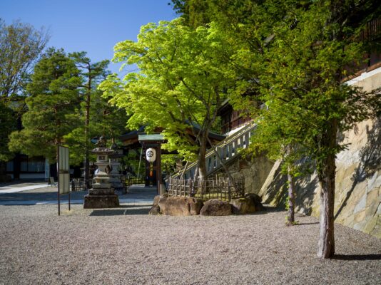 Serene Japanese Shrine Enveloped in Lush Foliage