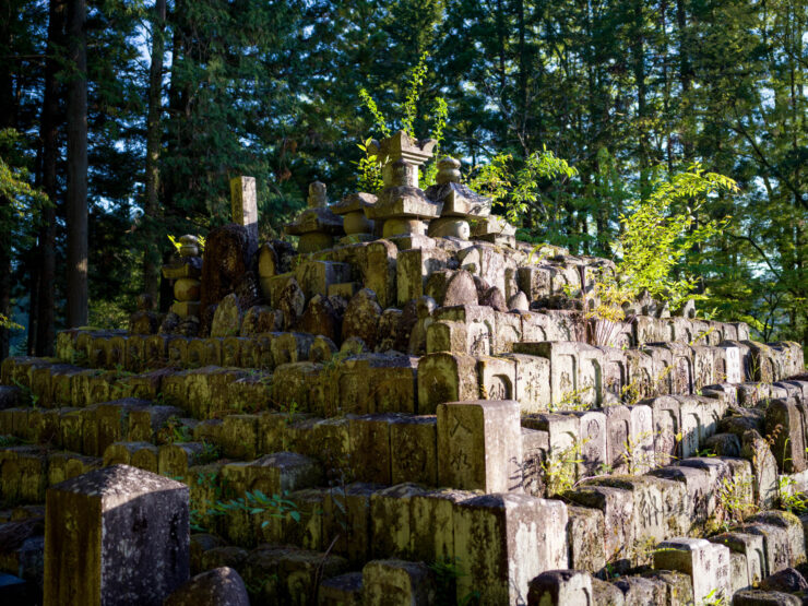 Peaceful ancient forest trail in Higashiyama, Japan