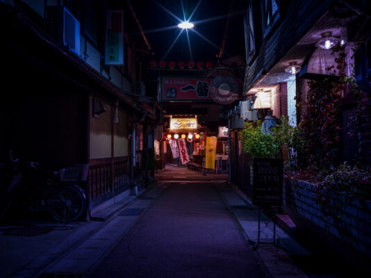 Cozy Tokyo alley: Shinjukus captivating hidden charms.