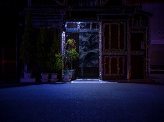 Enchanting Tokyo alley, hidden Shinjuku gem