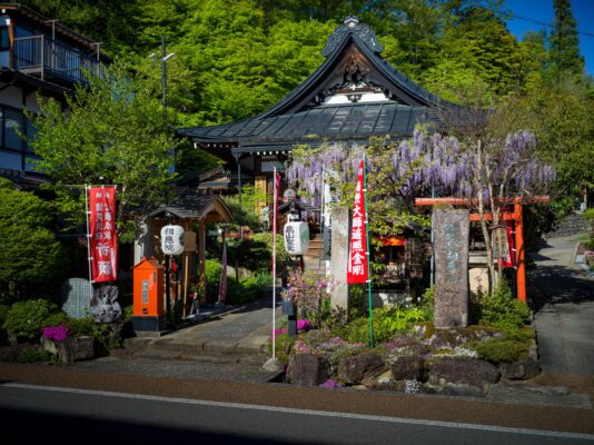 Sooin Temple: Harmonious Japanese Shrine Amidst Wisteria Blossoms