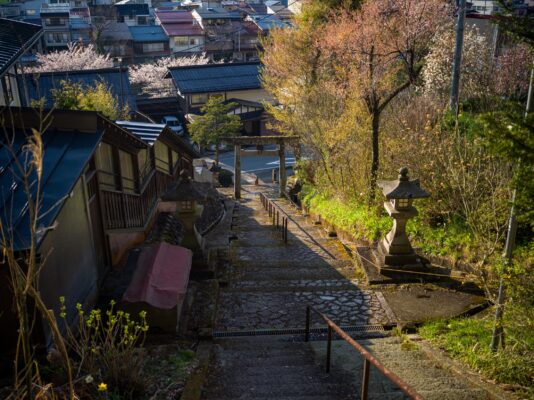Tranquil Japanese shrine path amidst verdant nature