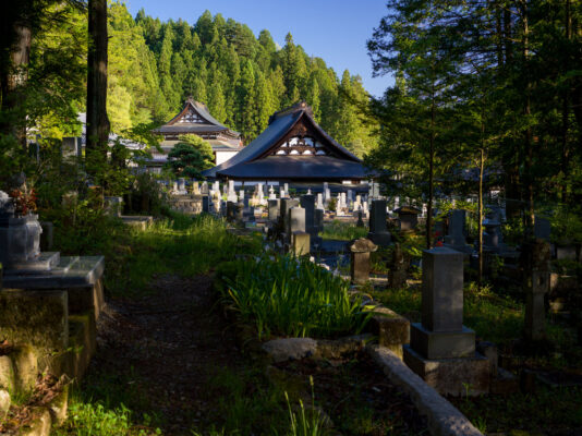 Peaceful Japanese Graveyard Trail Experience