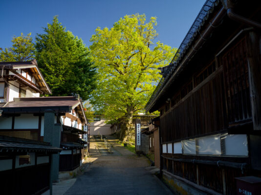 Tranquil Japanese riverside path near Enakogawa River