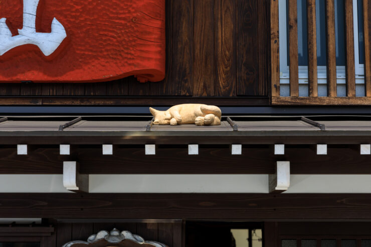 Peaceful Japanese street with sleeping cat