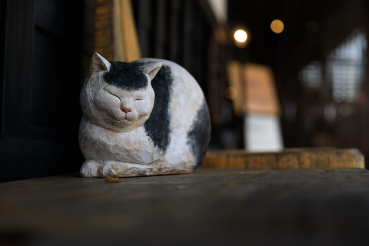 Cozy Japanese neighborhood street cat nap