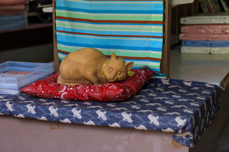 Cozy Japanese street with sleeping cat on cushion