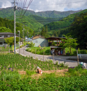 Rural Japans Hidden Gem: Nagoro Village