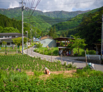 Rural Japans Hidden Gem: Nagoro Village