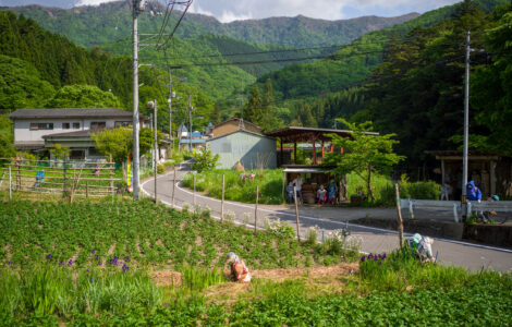 Rural Japans Hidden Gem: Nagoro Village