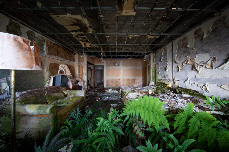 Decaying luxury hotel reclaimed by natures resilience