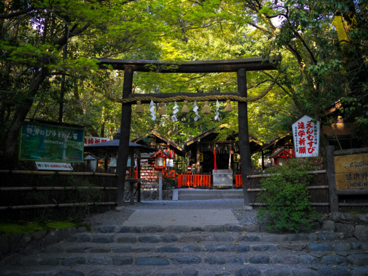 Enchanting Arashiyama Bamboo Grove: Japanese oasis with lush bamboo, traditional shrine, colorful stalls.