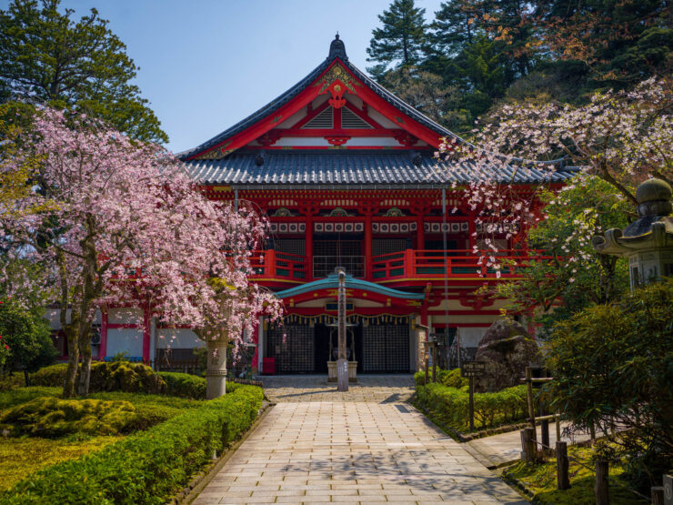 Natadera Temple: Iconic Japanese Sanctuary Amidst Cherry Blossoms