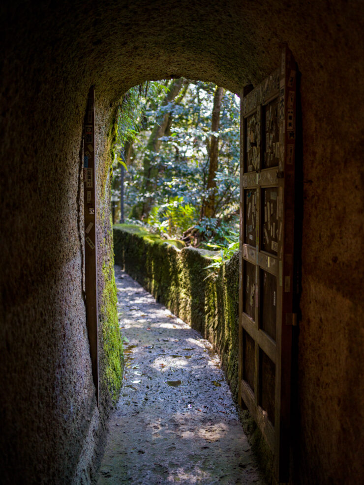 Enchanting moss-covered pathway to Natadera Temple, Kyoto