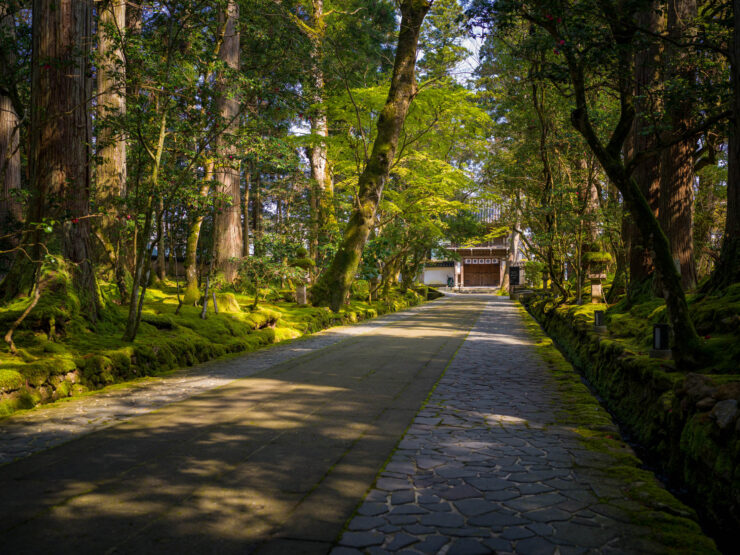 Serene Natadera Forest Temple, Japanese Nature Sanctuary