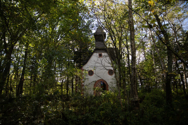 Enchanted Forest Chapel Sanctuary