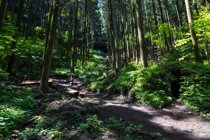 Tranquil forest trail to sacred Kamishikimi Kumanoimasu Shrine