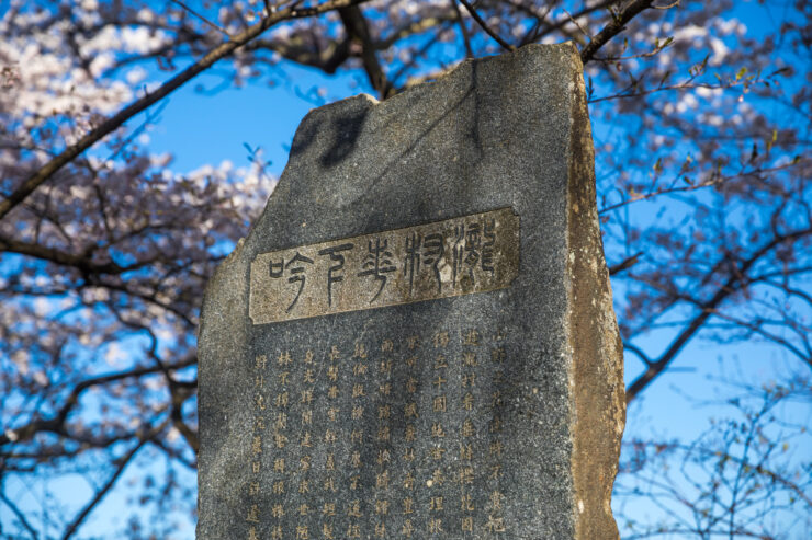 Ancient weeping cherry tree Miharu Takizakura Japan