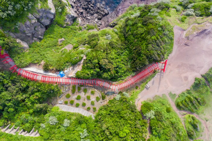 Motonosumis iconic red torii trail through lush ravine