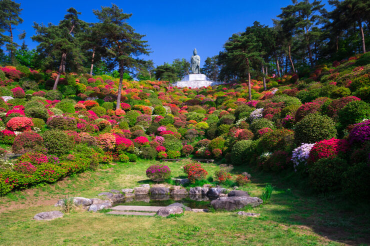 Vibrant Japanese temple garden with azaleas.