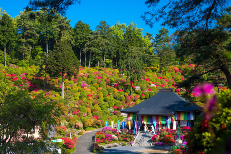 Tranquil Japanese temple surrounded by lush greenery, vibrant flowers, and winding paths.