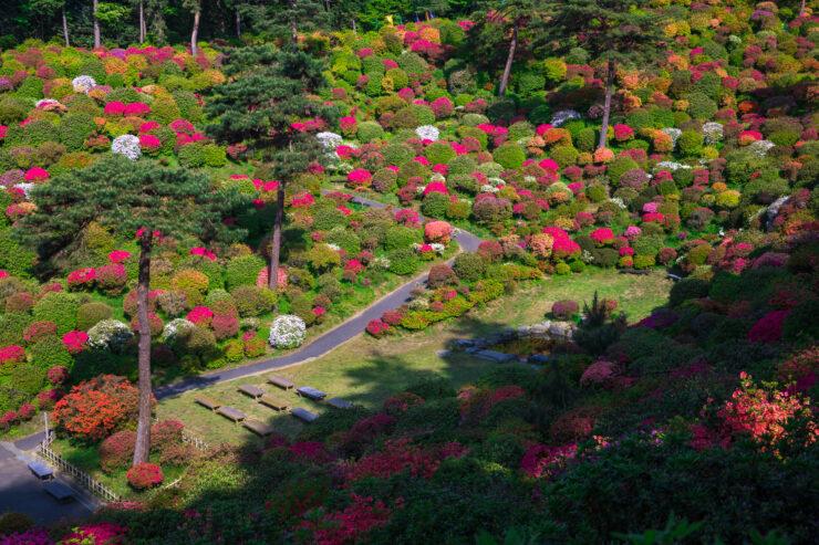 Enchanting Shiofunekannon-ji Temple Garden in Ome City, Japan.