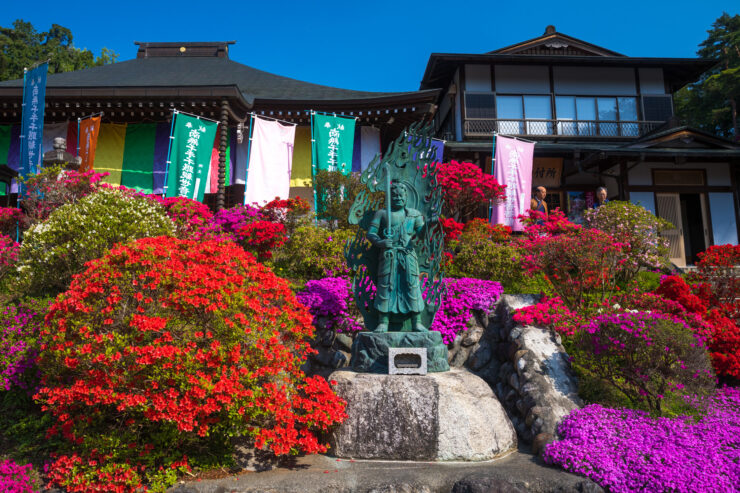 Vibrant Azalea-Adorned Shiofunekannon-ji Buddhist Temple, Japan