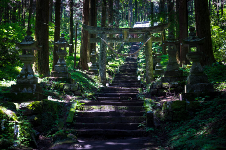 Tranquil ancient forest Shinto shrine power spot