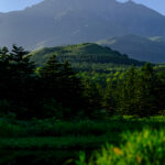 Stunning Rishiri-Fuji volcanic mountain on lush Japanese island