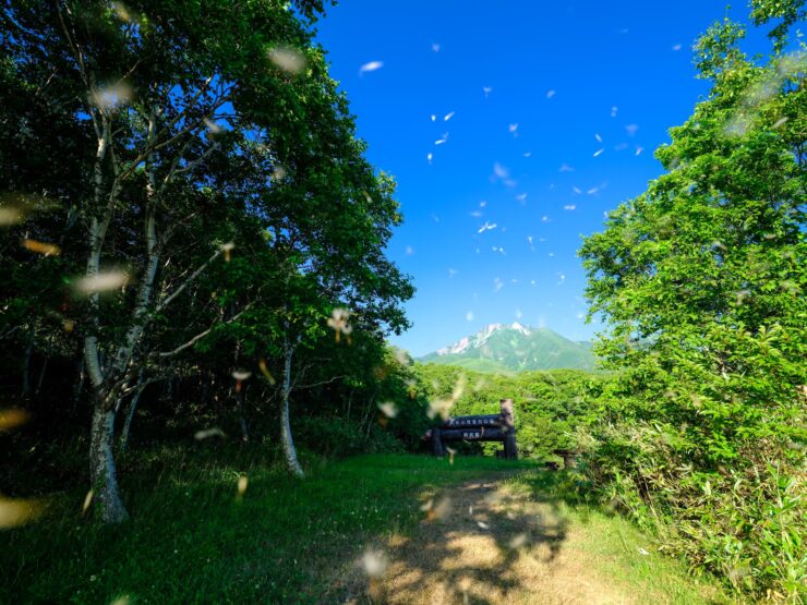 Scenic Rishiri Island hiking trail, Japan