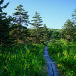 Scenic Rishiri Island Boardwalk, Lush Japan Nature Trail