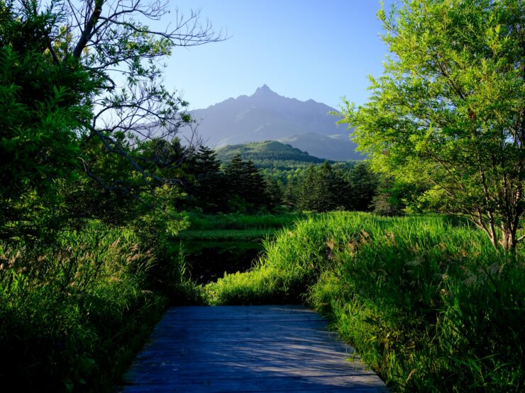 Rishiri Islands volcanic peak, lush meadows, winding stream.