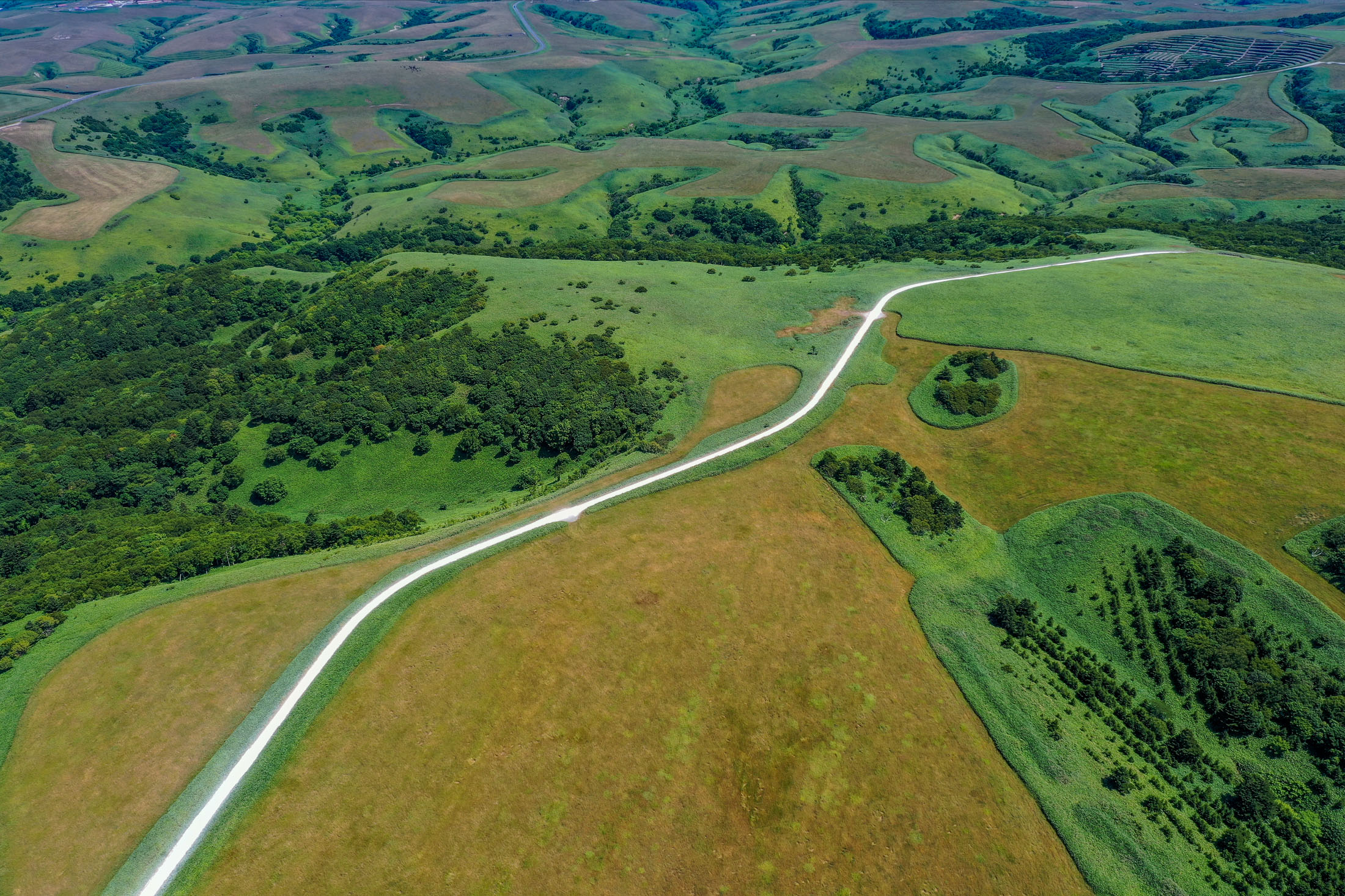 Aerial view lush green soybean hills landscape