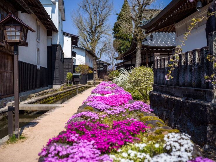Flowering Hida-Furukawa, traditional Japanese town scenery.