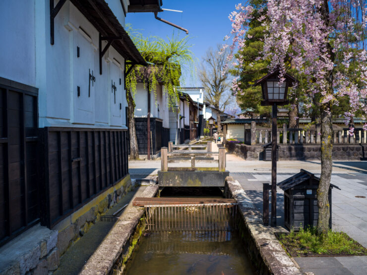 Charming Historic Japanese Town in Bloom
