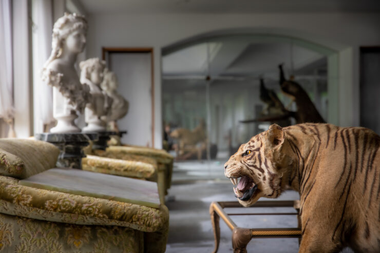 Luxurious mansion interior, antique decor, tiger sculpture
