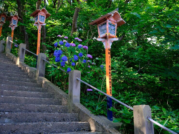 Serene Takayama Inari Shinto Shrine Forest Trail