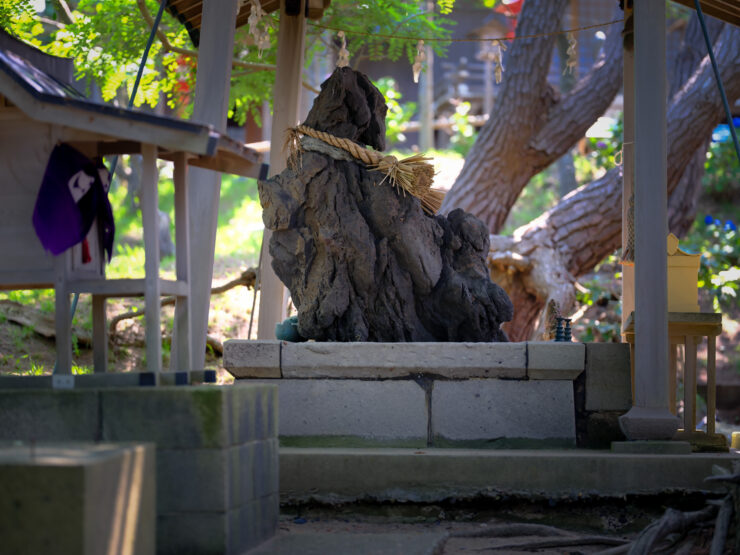 Tranquil Japanese Shinto Shrine, Natures Harmonious Embrace