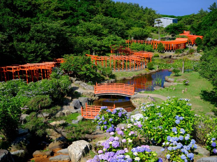 Tranquil Takayama Inari Shrine: Serene sanctuary with vibrant torii gates, wooden bridges, and blooming hydrangeas.
