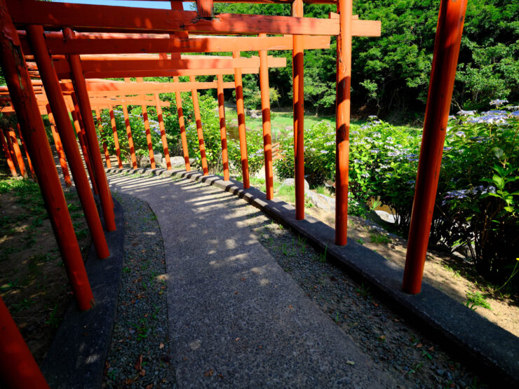 Tranquil Crimson Torii Path to Takayama Inari Shrine