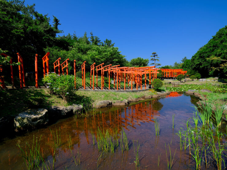 Serene Takayama Inari Shrine, Japans iconic torii gates.