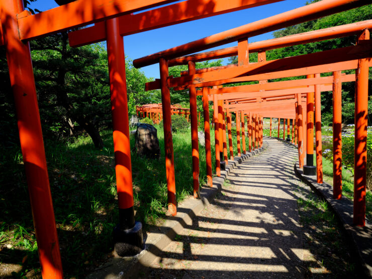 Enchanting torii gate trail in Takayamas natural wonderland.