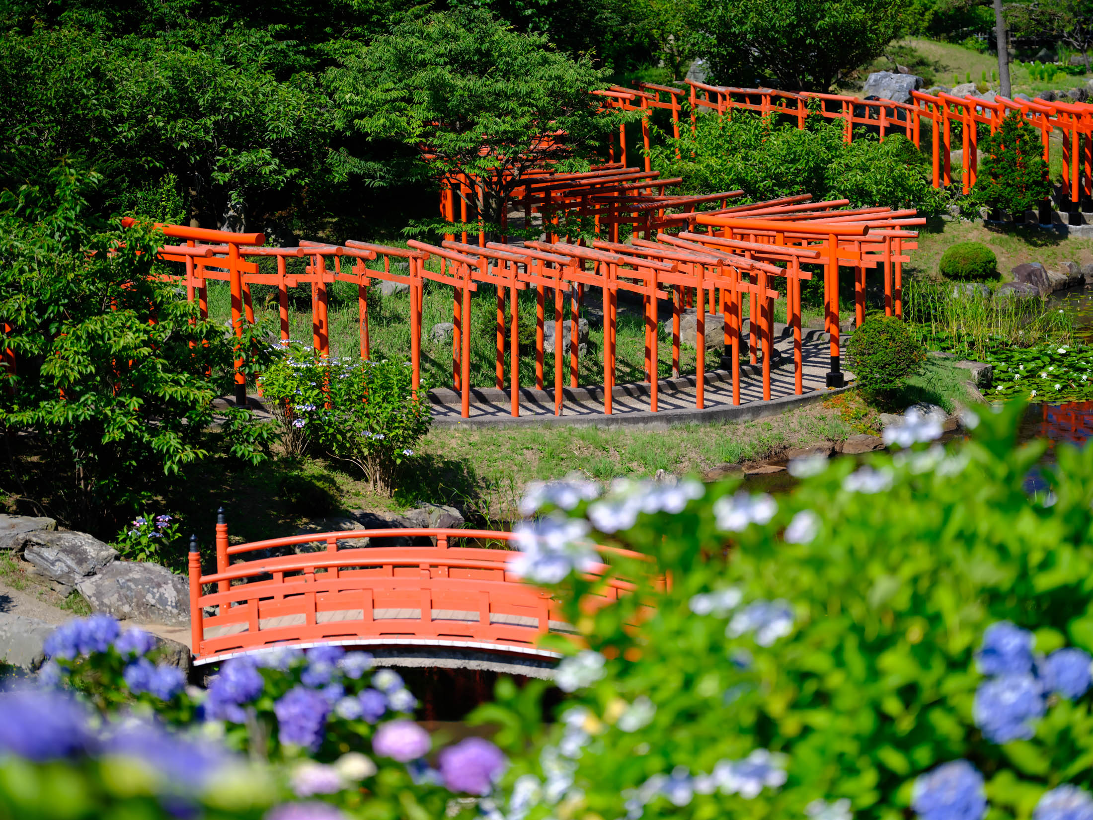 Vibrant Vermilion Torii Gates at Serene Japanese Shrine Garden