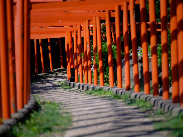 Iconic vermillion torii gate path at Takayama Inari Shrine.